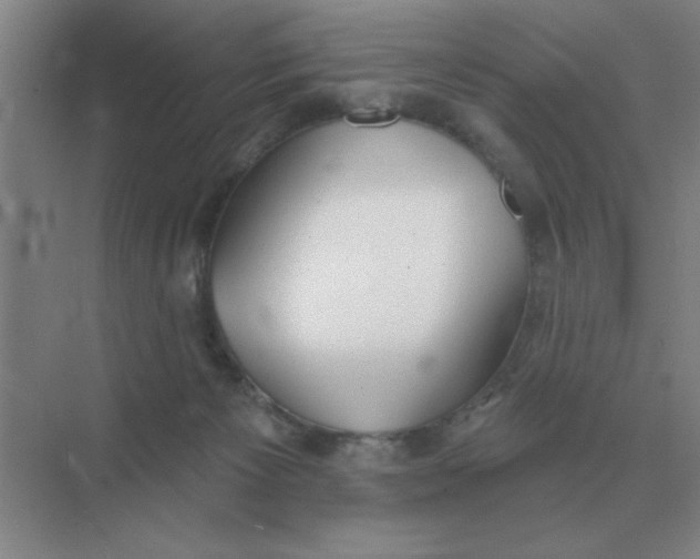 X0000075350125200609292111