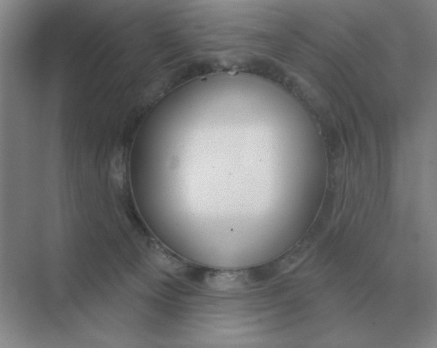 X0000075350129200609292111