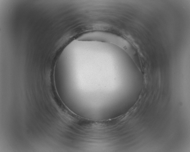 X0000075350154200609292110