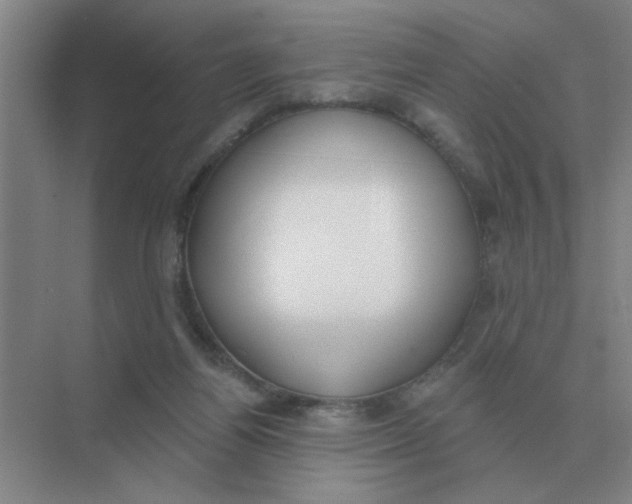 X0000075350164200609292110