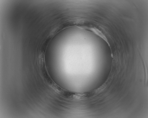 X0000075350172200609292110