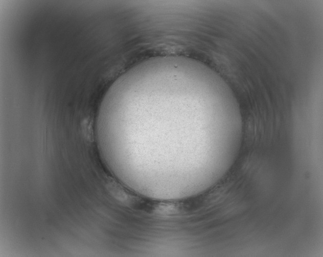 X0000075350177200609292110