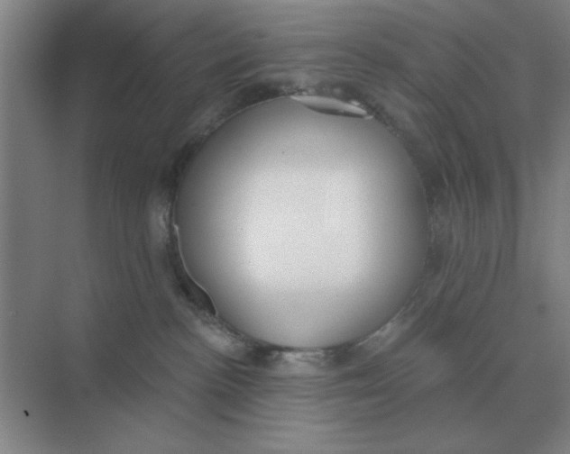 X0000075350188200609292110