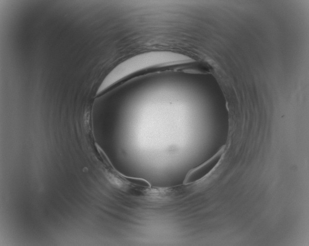 X0000075350192200609292110