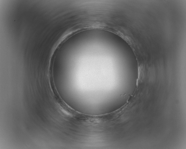 X0000075350195200609292109