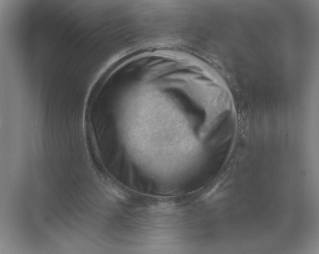 X0000075350196200609292109