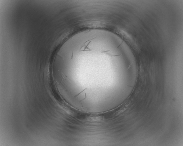 X0000075350202200609292109