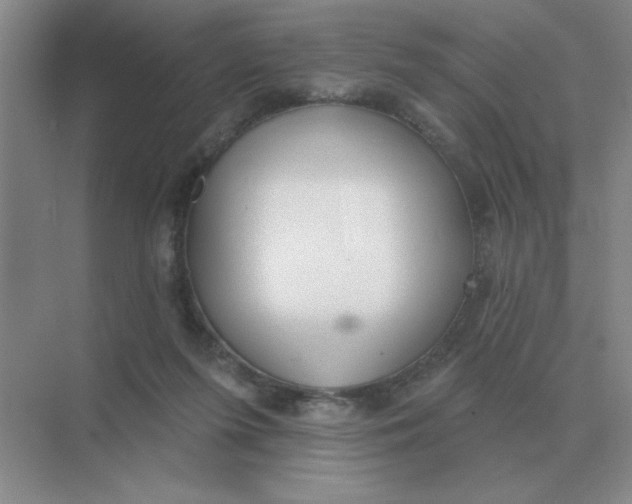 X0000075350215200609292109