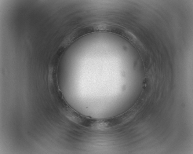 X0000075350217200609292109