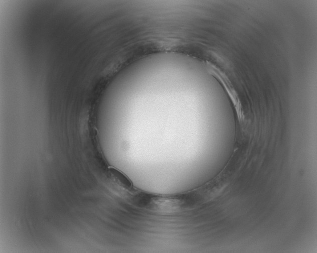 X0000075350221200609292109