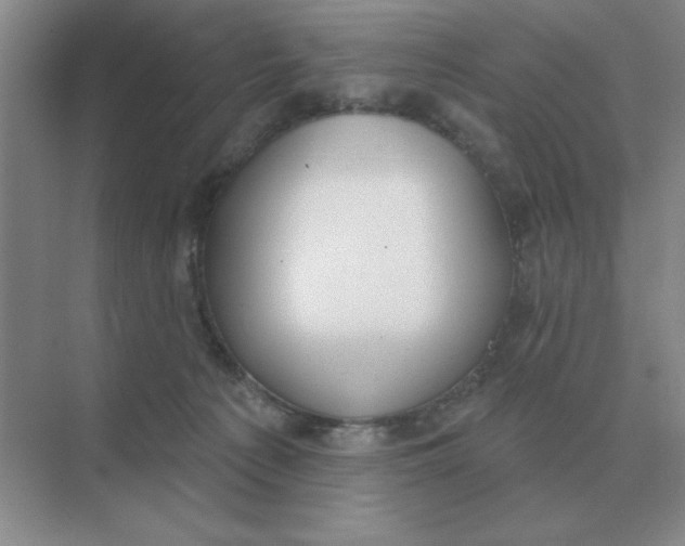 X0000075350225200609292109