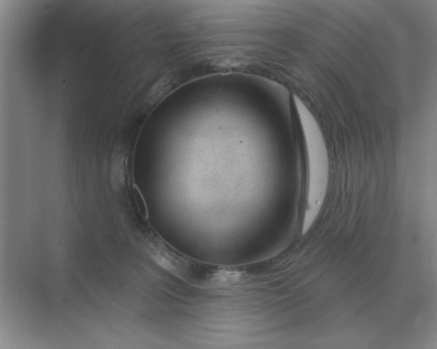 X0000075350227200609292109