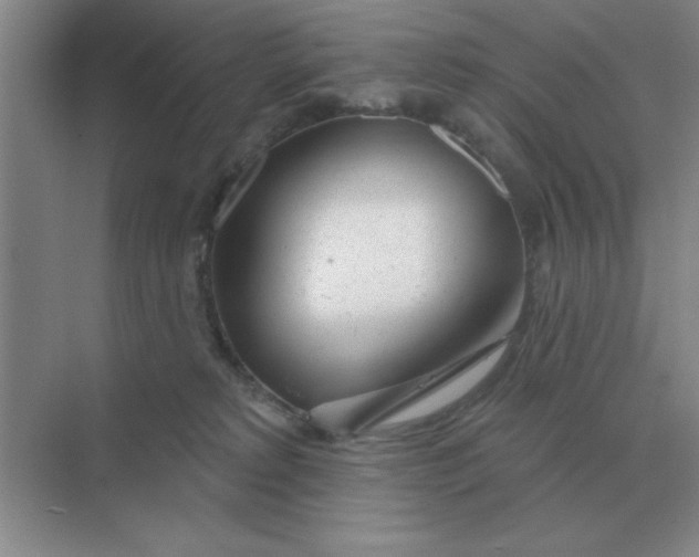 X0000075350229200609292109