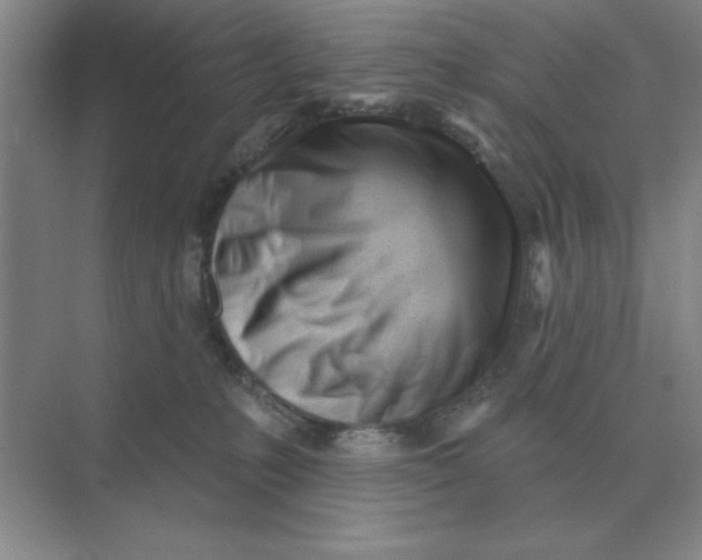 X0000075350231200609292109