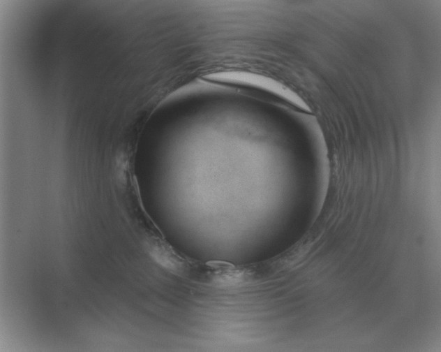 X0000075350235200609292109