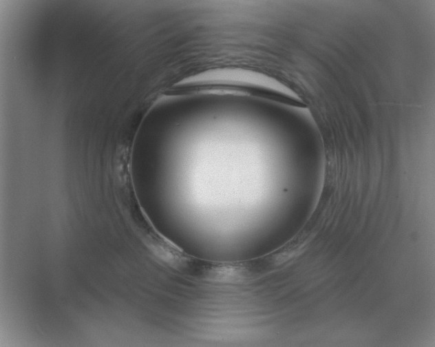 X0000075350237200609292109