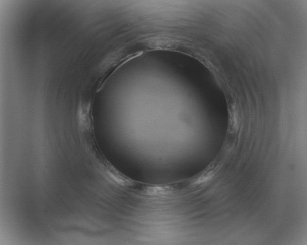 X0000075350239200609292109