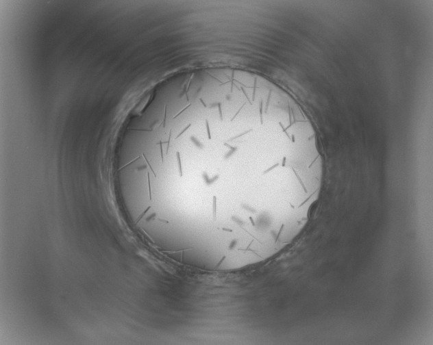 X0000075350241200609292108