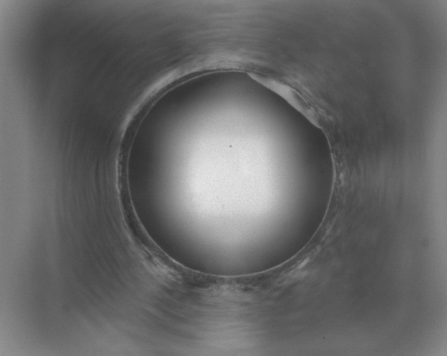 X0000075350244200609292108