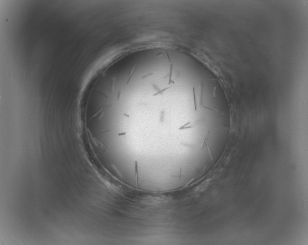 X0000075350245200609292108