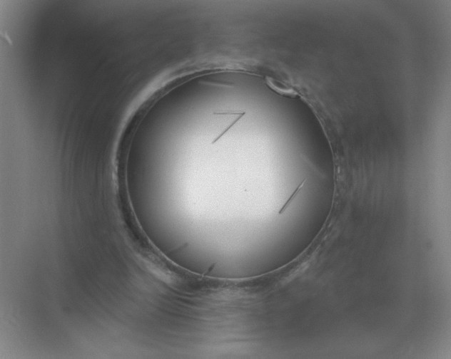 X0000075350246200609292108