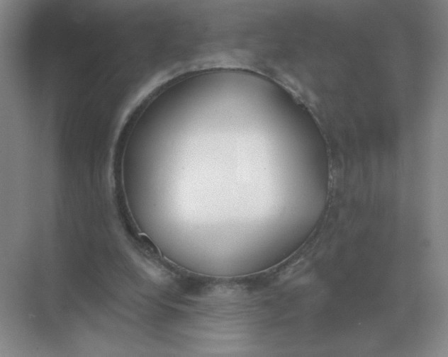 X0000075350248200609292108