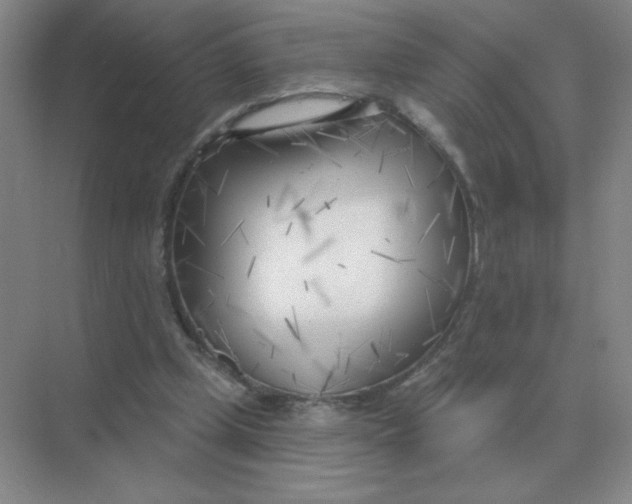 X0000075350249200609292108