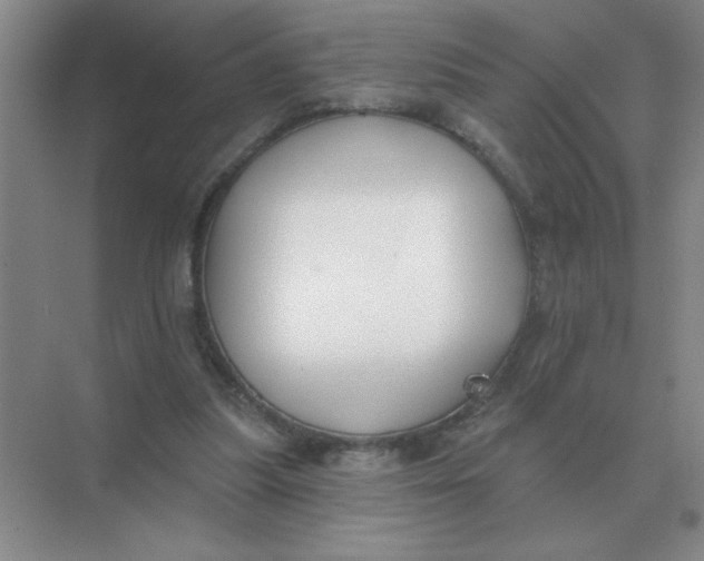 X0000075350251200609292108