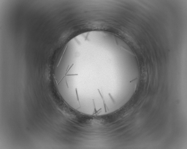 X0000075350255200609292108