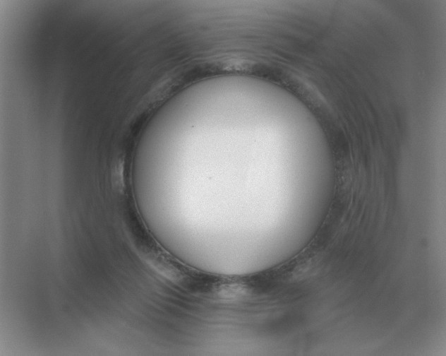 X0000075350262200609292108