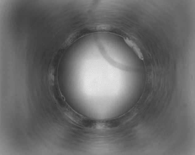 X0000075350264200609292108