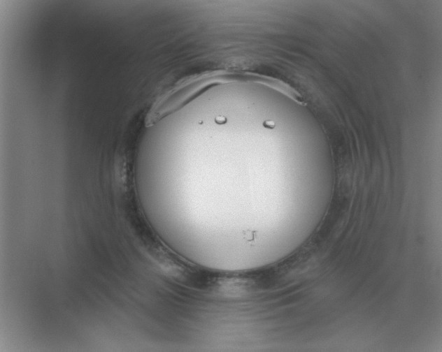 X0000075350268200609292108