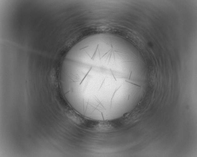 X0000075350270200609292108