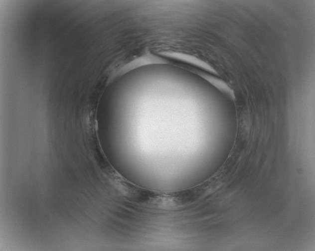 X0000075350276200609292108