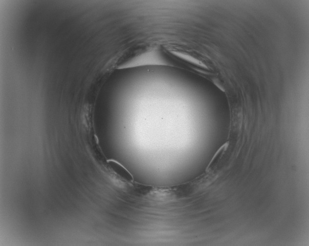 X0000075350280200609292109