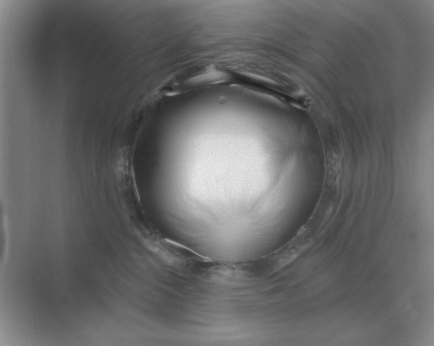 X0000075350284200609292109