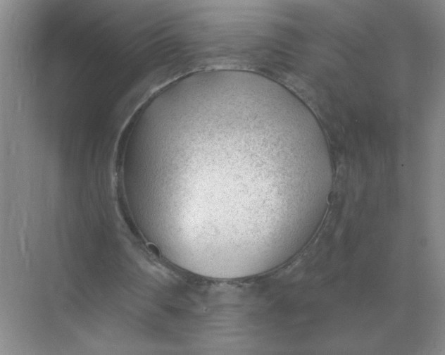 X0000075350290200609292108