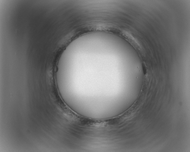 X0000075350306200609292108