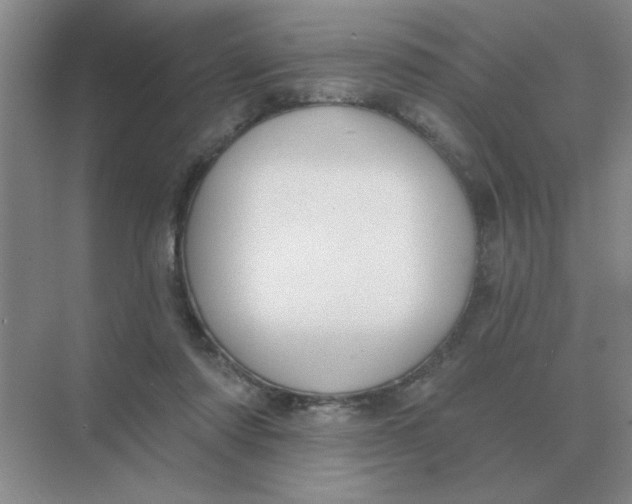 X0000075350310200609292108