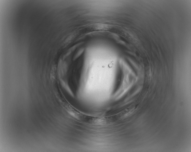 X0000075350325200609292107