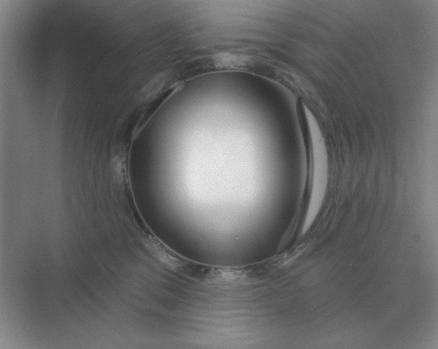X0000075350329200609292107