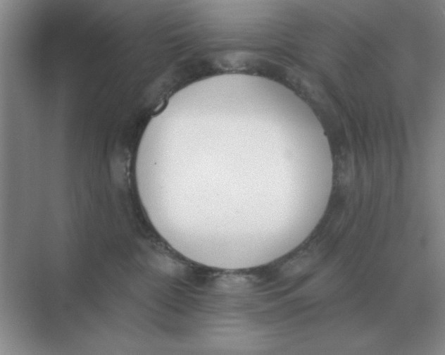 X0000075350332200609292107
