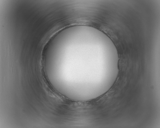 X0000075350338200609292106