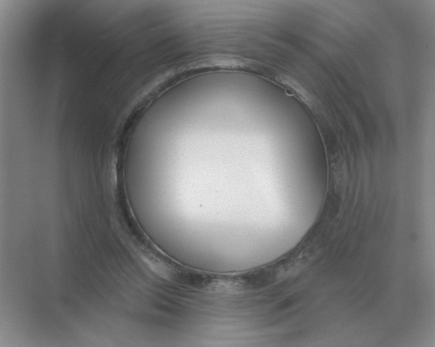 X0000075350350200609292106