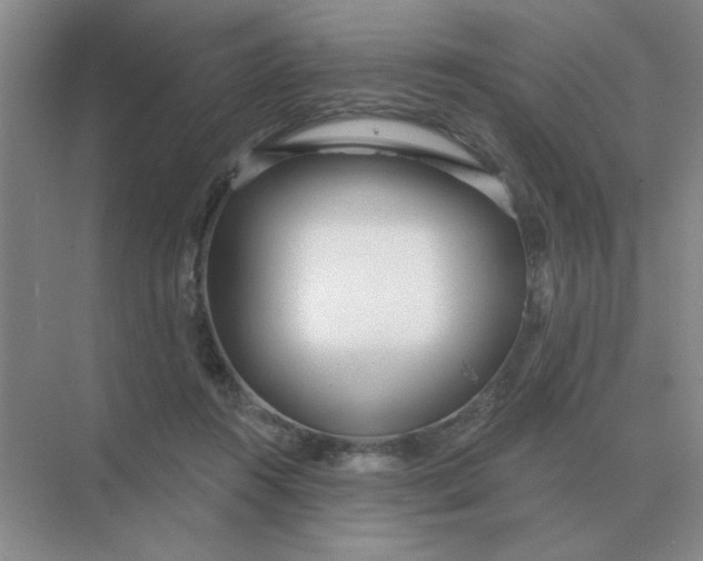 X0000075350360200609292107