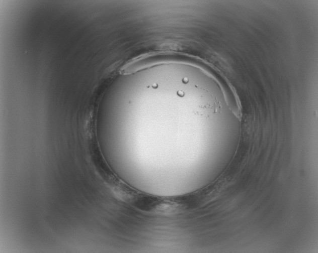 X0000075350364200609292107
