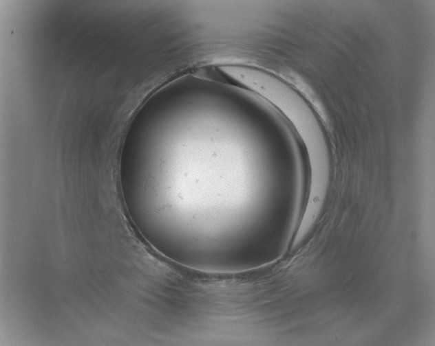 X0000075350385200609292106