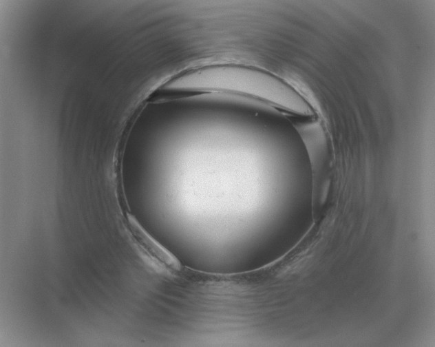 X0000075350389200609292106