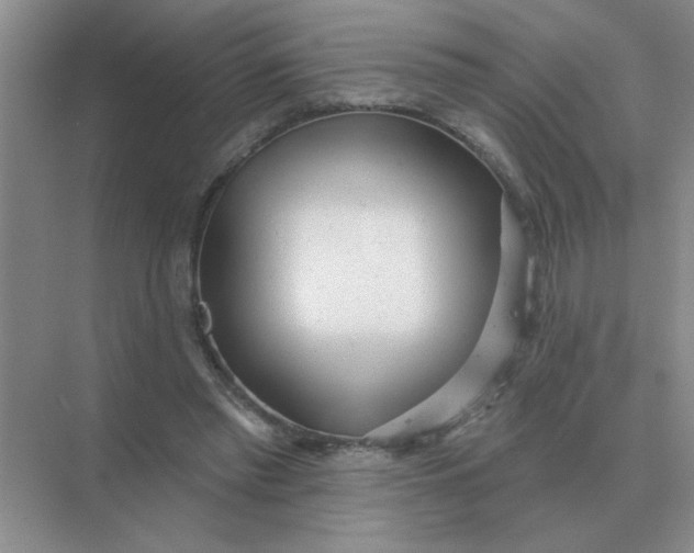 X0000075350397200609292106
