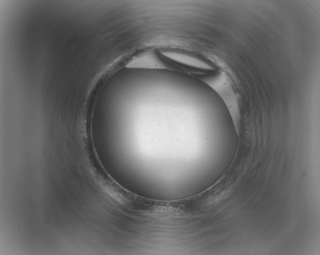 X0000075350399200609292106